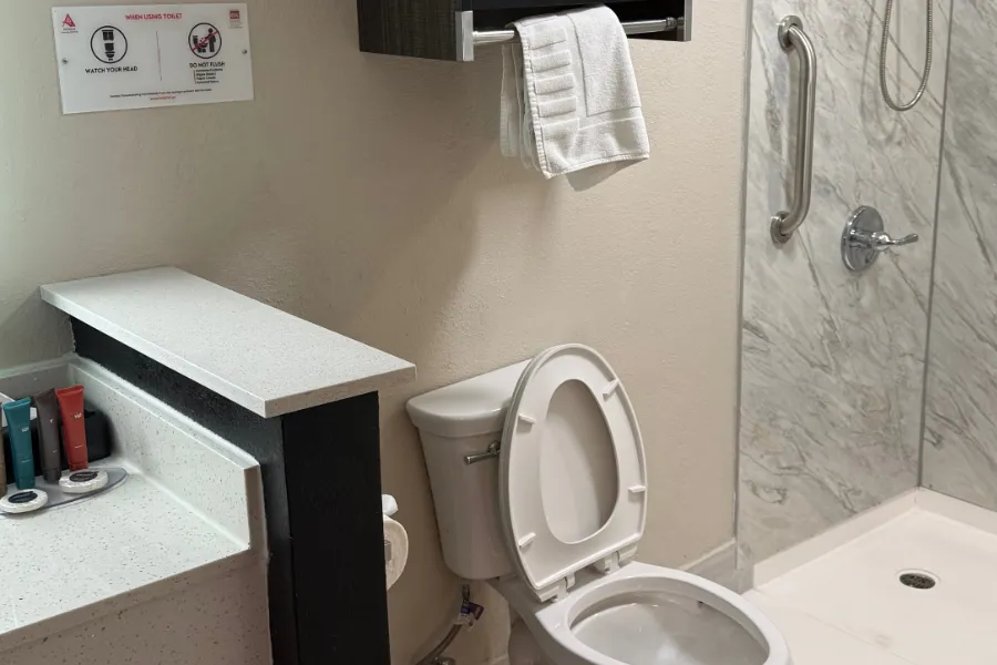 Accessible roll-in shower at Lx Hotel ADA king room