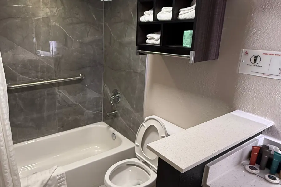 King room bathroom at Lx Hotel with vanity and shower