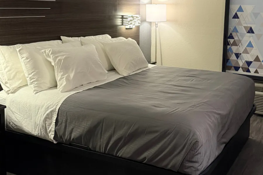 King room at Lx Hotel with sofa and coffee table